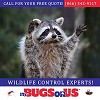 Its Bugs Or Us Pest Control - Fort Worth